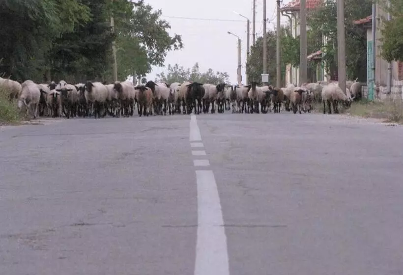 پانسیون Guest House Ongal