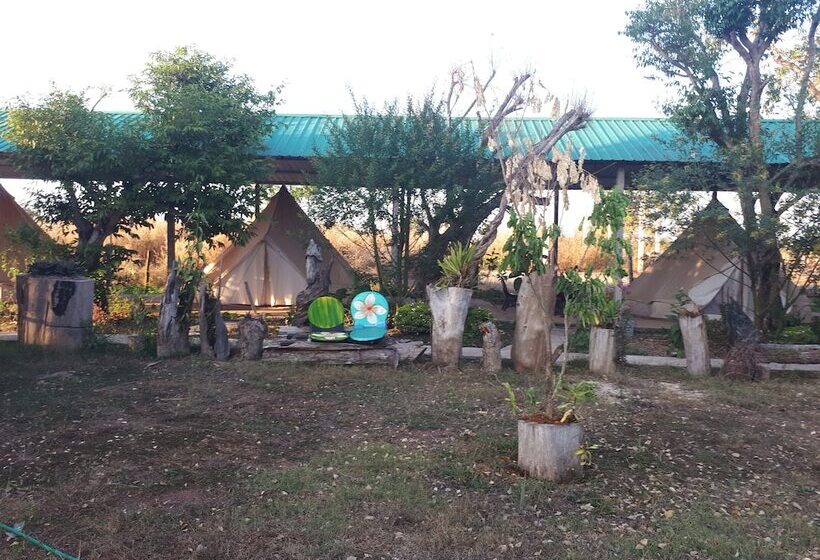 膳宿费 Vongkham Eco Resort