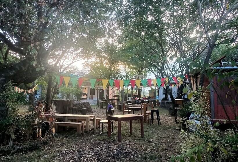 膳宿费 Vongkham Eco Resort