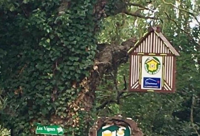 ベッドアンドブレックファースト La Ferme Des Vignes