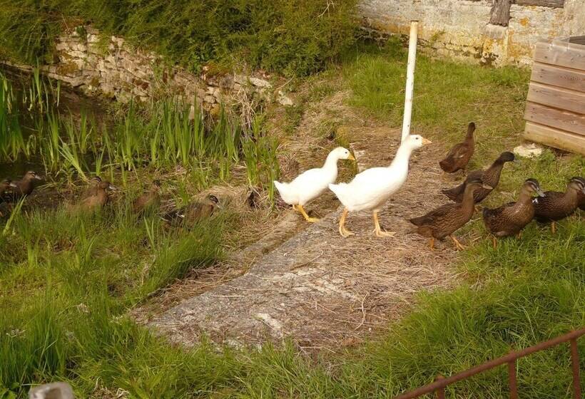 ベッドアンドブレックファースト La Ferme Des Vignes