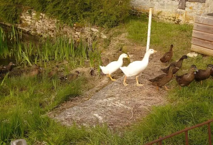 ベッドアンドブレックファースト La Ferme Des Vignes