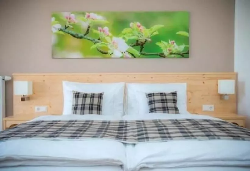 Hotelli Gasthof Wachter