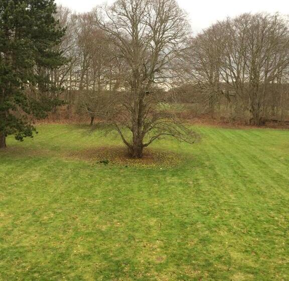 ベッドアンドブレックファースト øbjerggaard Bedrooms