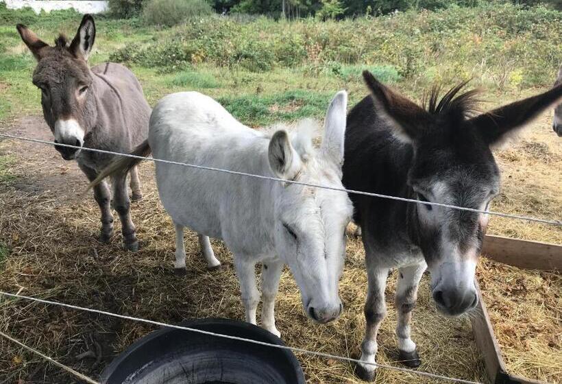 ベッドアンドブレックファースト øbjerggaard Bedrooms