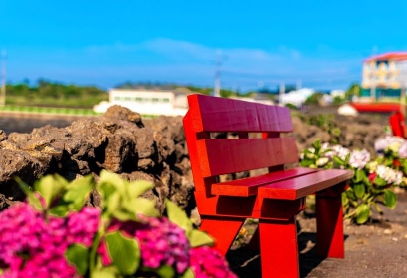 Отель Jeju M Stay Pension