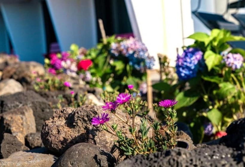 Отель Jeju M Stay Pension