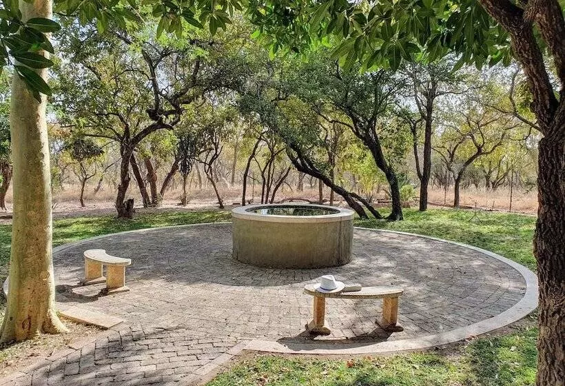 Hotelli Kingfisher Creek Safari Lodge