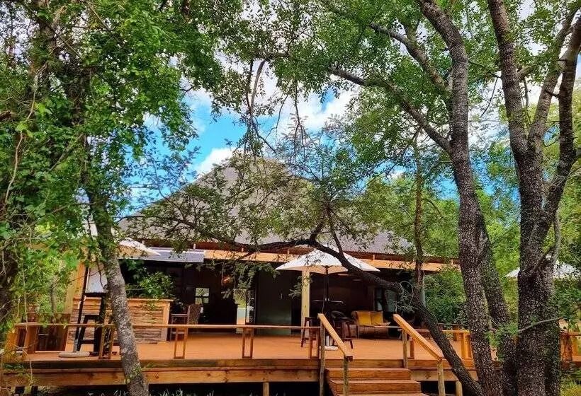 Hotelli Kingfisher Creek Safari Lodge
