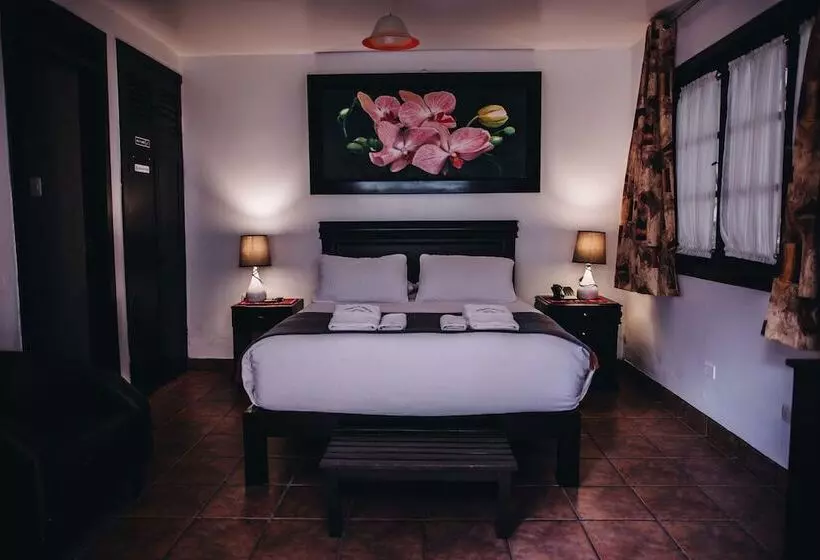 ホテル Gringo Bill S Boutique