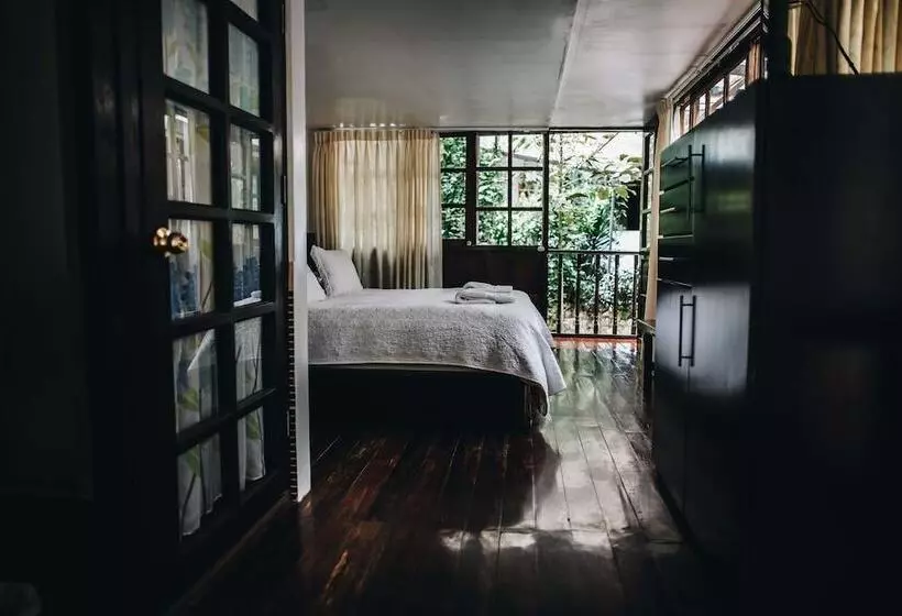 ホテル Gringo Bill S Boutique