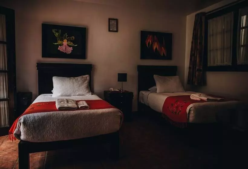 ホテル Gringo Bill S Boutique