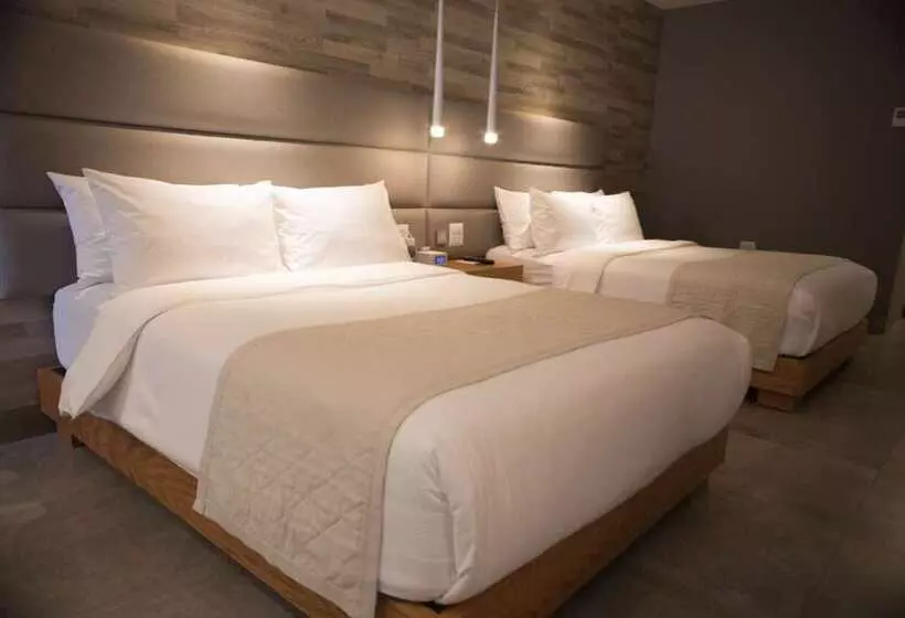 Отель Oro Verde Manta