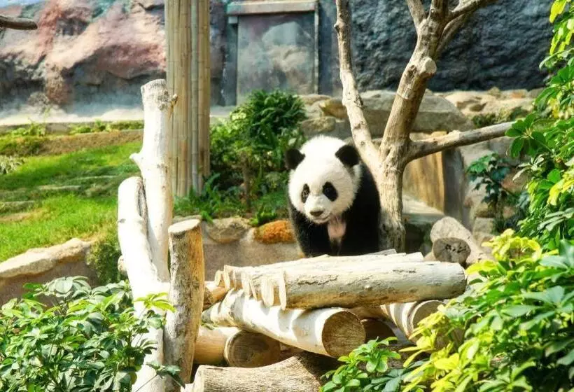 هتل Pousada Marina Infante