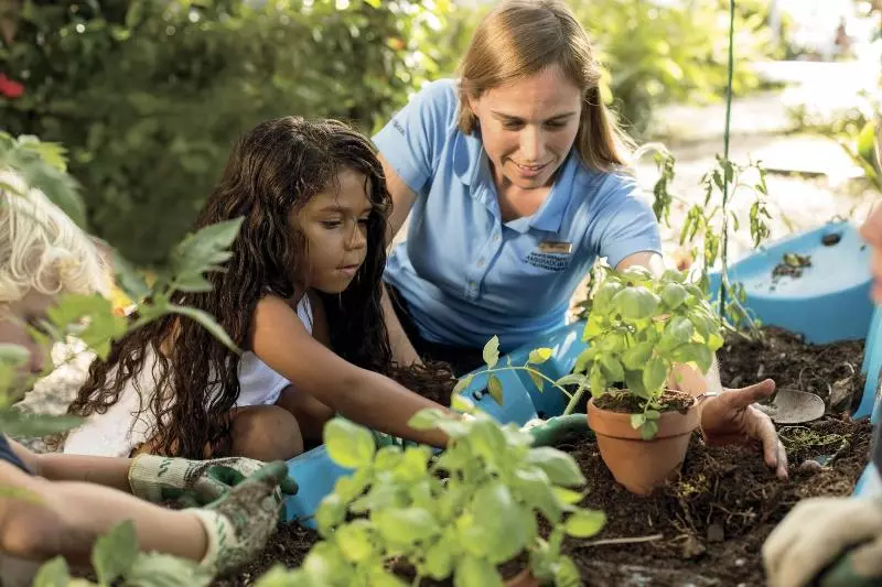 هتل The Ritzcarlton, Grand Cayman