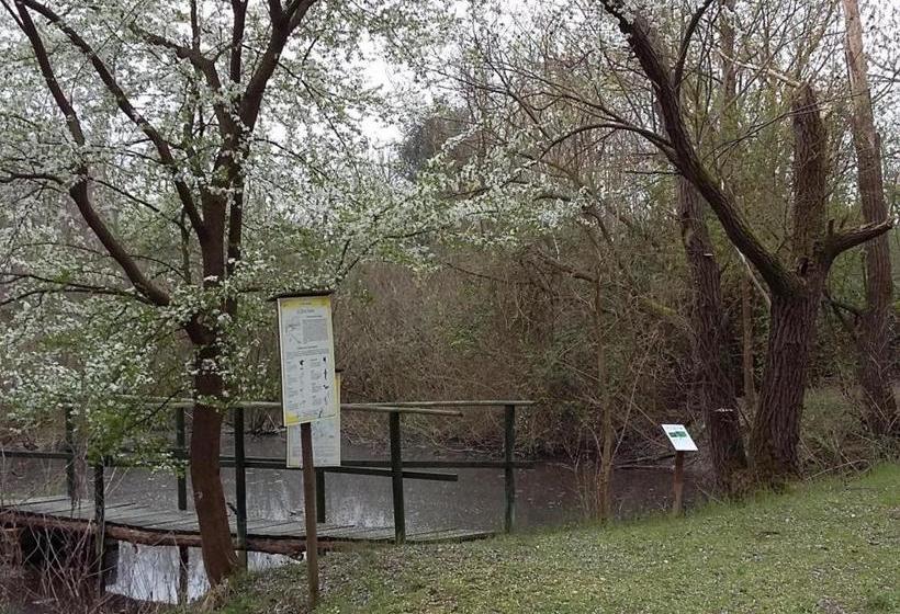 호스텔 Al Bacino Rooms And Breakfast