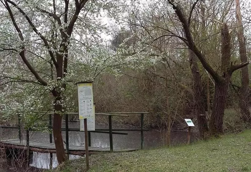 ユースホステル Al Bacino Rooms And Breakfast