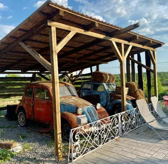 Hotelli Chateau Vincze