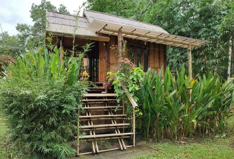 酒店 Kuba Bungalows