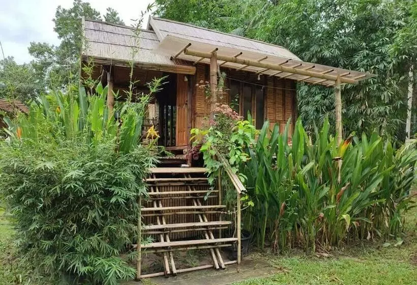 Hotelli Kuba Bungalows