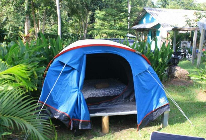 酒店 Kuba Bungalows