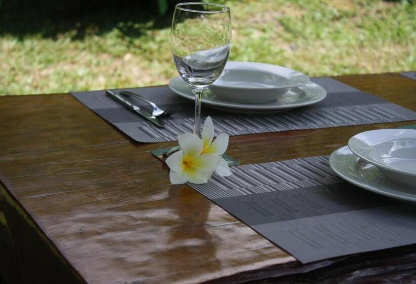 酒店 Kuba Bungalows