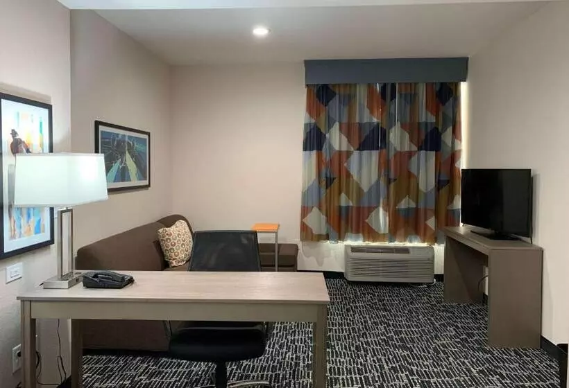 Hotelli La Quinta Inn & Suites By Wyndham   Red Oak Tx Ih 35e