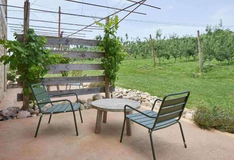 בית מלון כפרי Olivi1948   Boutique Guest House