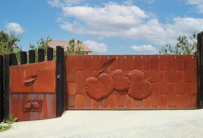 בית מלון כפרי Olivi1948   Boutique Guest House