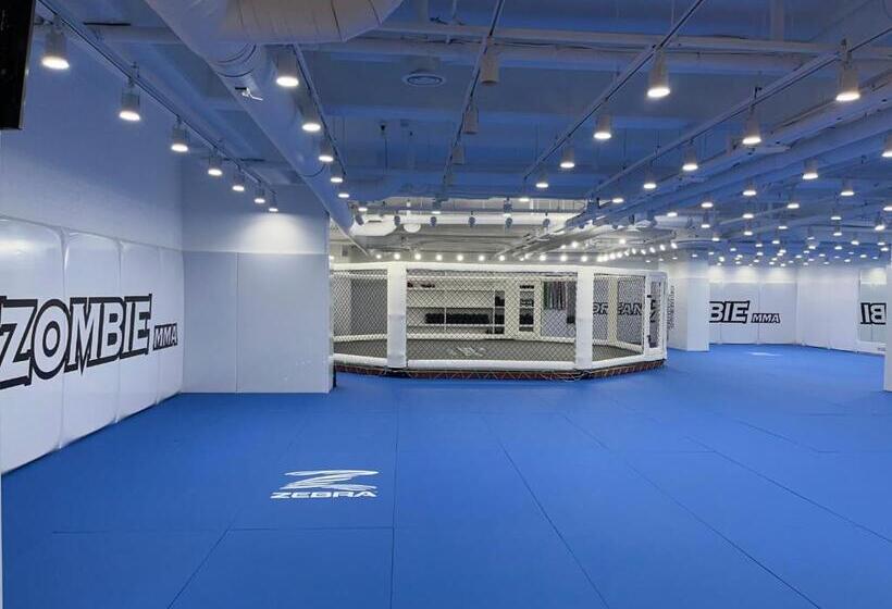 Staz Hotel Premier Dongtan