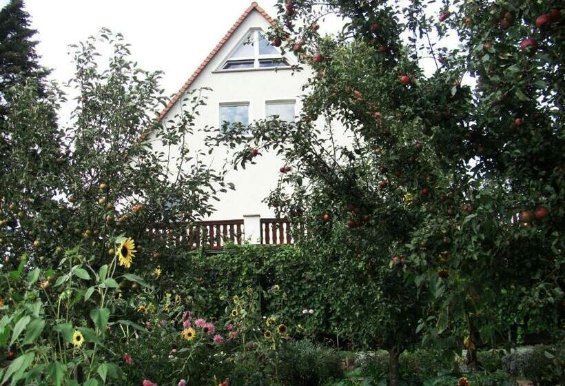 Pension Elbblick Sabine Zuschke