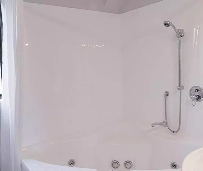 호텔 Bks Palm Court Motor Lodge