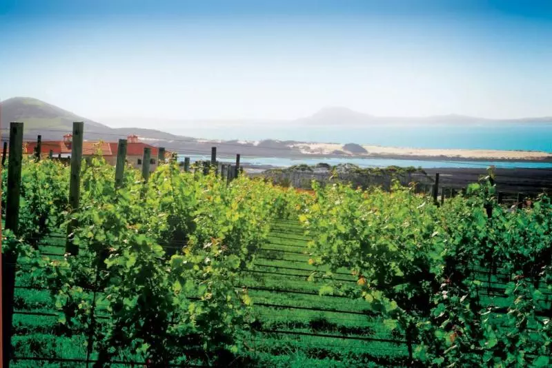 호텔 Carrington Estate