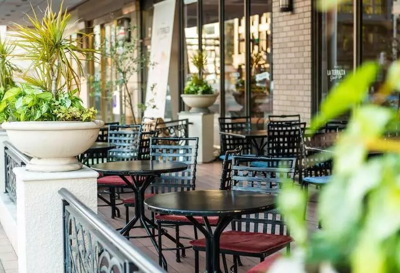 호텔 Mystays Matsuyama