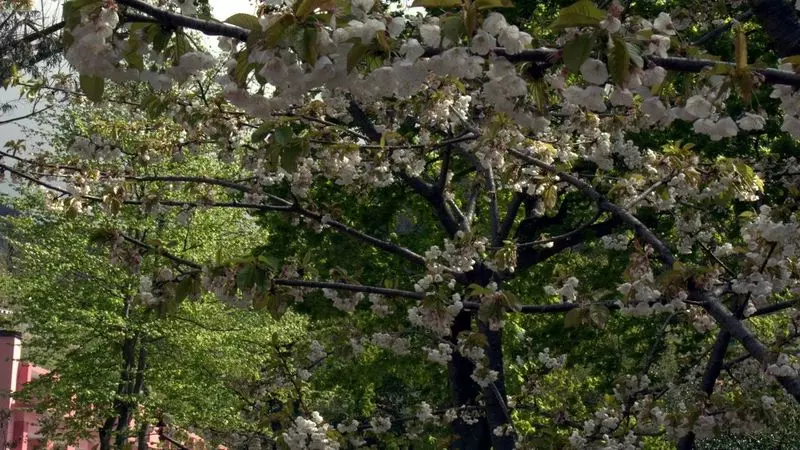 Bio Hotel Quinta Da Serra