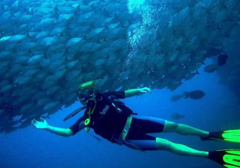 Margaritaville Beach Resort Playa Flamingo