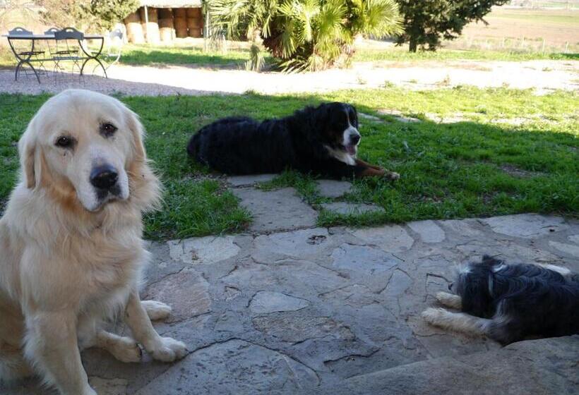 فندق Agriturismo La Valentina Nuova