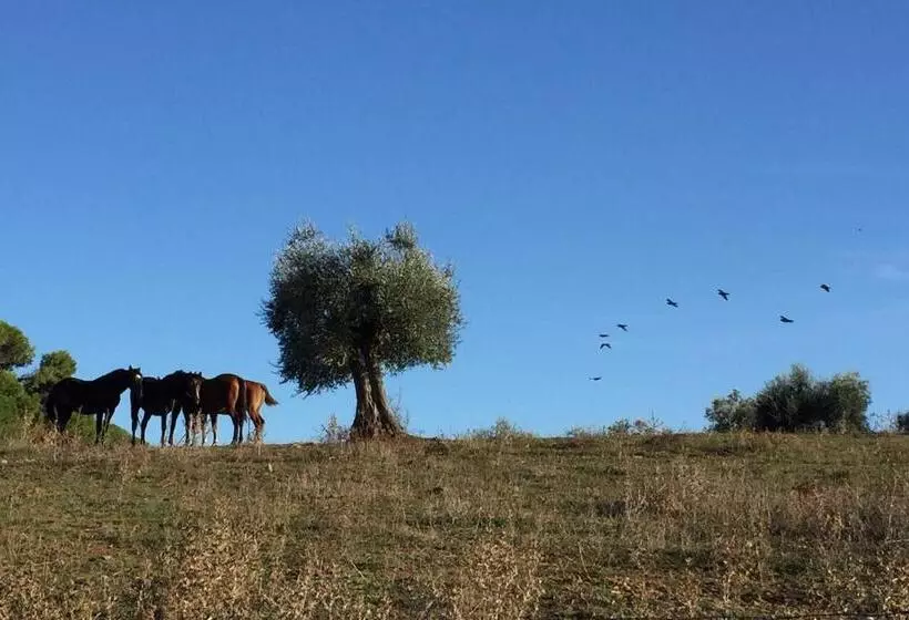 Hotelli Agriturismo La Valentina Nuova
