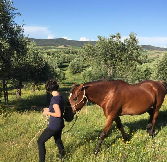 فندق Agriturismo La Valentina Nuova