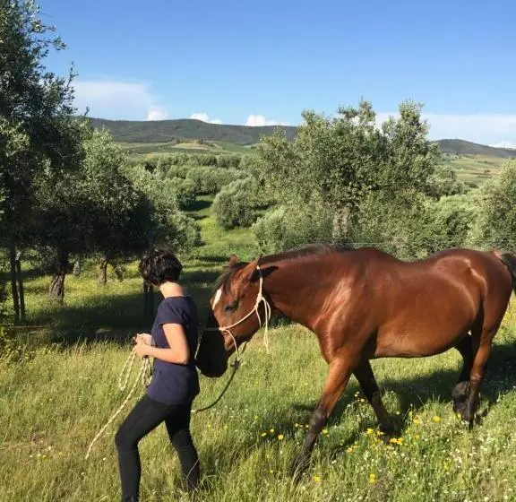 Hotelli Agriturismo La Valentina Nuova