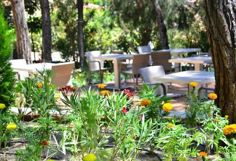 Peninsula Pine Club Boutique Hotel & Spa