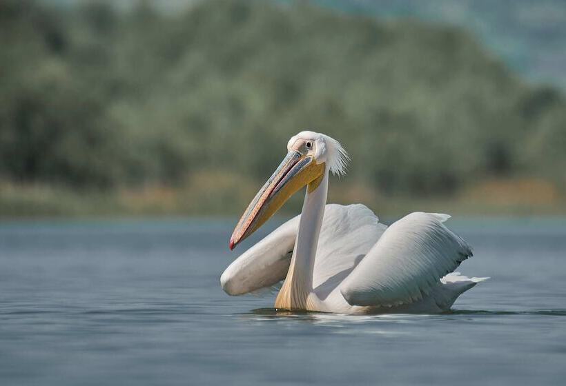 펜션 Bunica Maria   Guesthouse For Birders