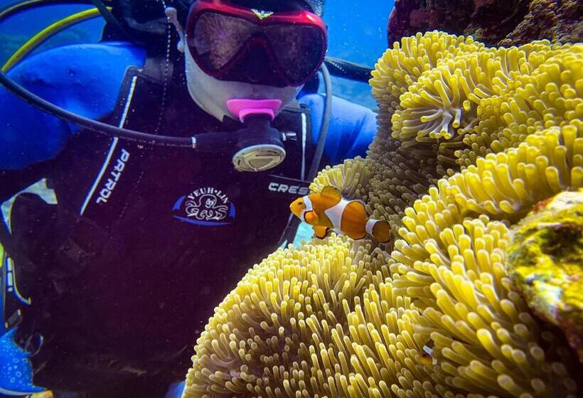 تختخواب و صبحانه 海人生海景民宿cest La Vie