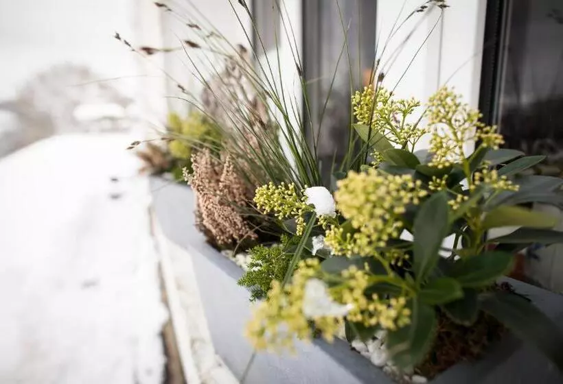 B&b Le Verger Du Pierroy