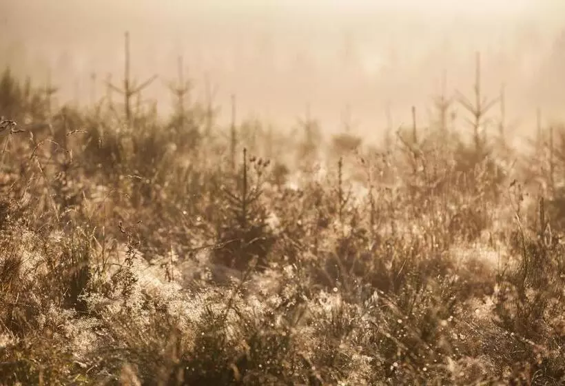 B&b Le Verger Du Pierroy