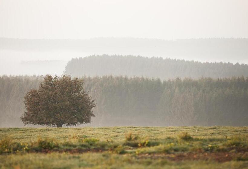 B&b Le Verger Du Pierroy