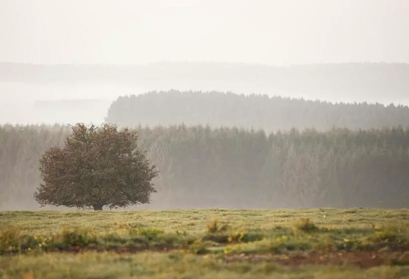 B&b Le Verger Du Pierroy
