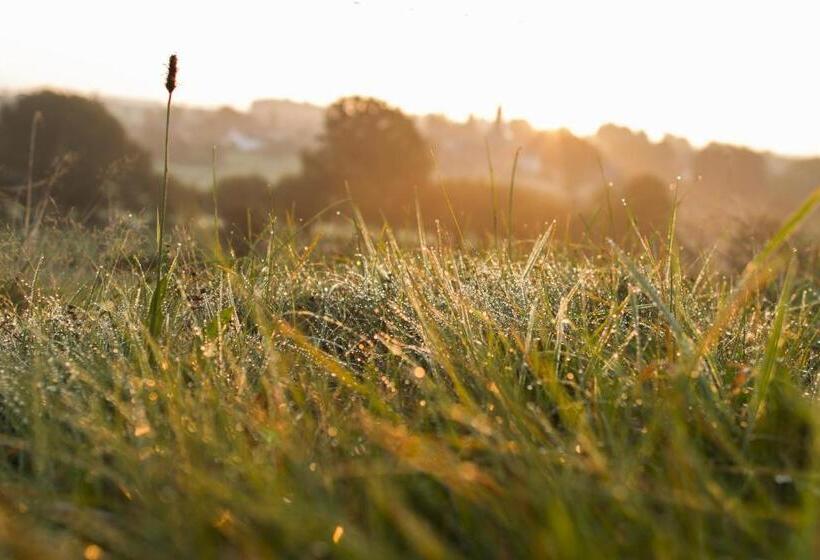 B&b Le Verger Du Pierroy
