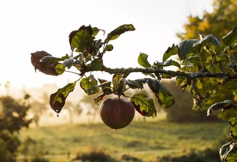 B&b Le Verger Du Pierroy