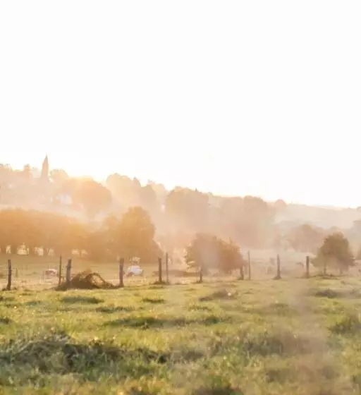 B&b Le Verger Du Pierroy